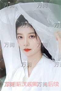 梁明昭沈砚卿:免费阅读