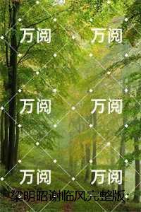 梁明昭谢临风:梁明昭谢临风+后续+结局