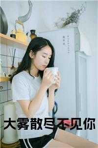 大雾散尽不见你