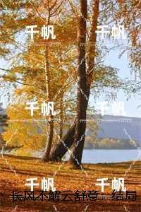 长风不解云舒意:全文免费在线阅读