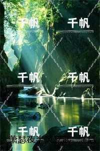 萧瑟夜半风又起:结局+番外完结