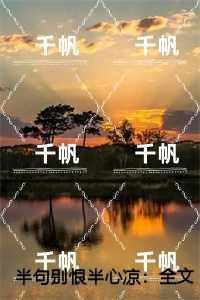 半句别恨半心凉