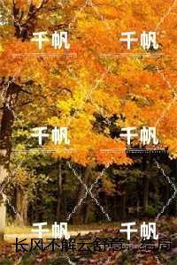 长风不解云舒意:大结局