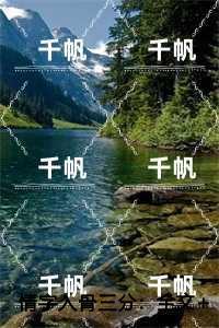 情字入骨三分:姜穗言祁云峥内容精选