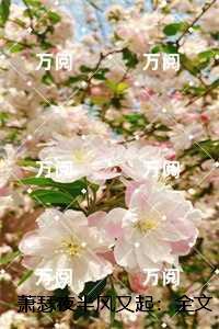萧瑟夜半风又起:全本阅读