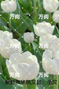 萧瑟夜半风又起高分言情
