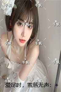 爱尽时，雪落无声：结局+番外必读文