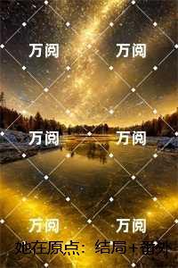 她在原点:陆云舟陈书试读
