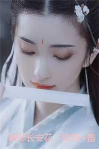 谢尽长安花:强推现言