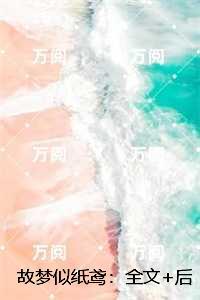 故梦似纸鸢:免费+番外