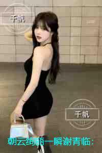 朝云绚丽一瞬谢青临:续集