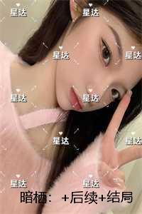 暗栖:免费结局+后续