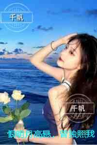 恨明月高悬，曾独照我：完结版