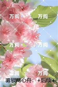 雾锁两心舟:最新章节列表