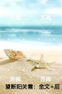 望断阳关雪