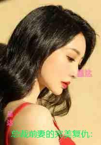 总裁前妻的完美复仇:+番外
