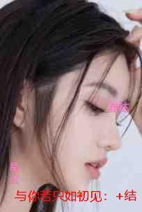 与你若只如初见：全集小说推荐