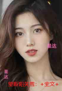 望断阳关雪:后续+全文