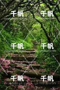雾岛听椿:江如安林叙白一口气读完