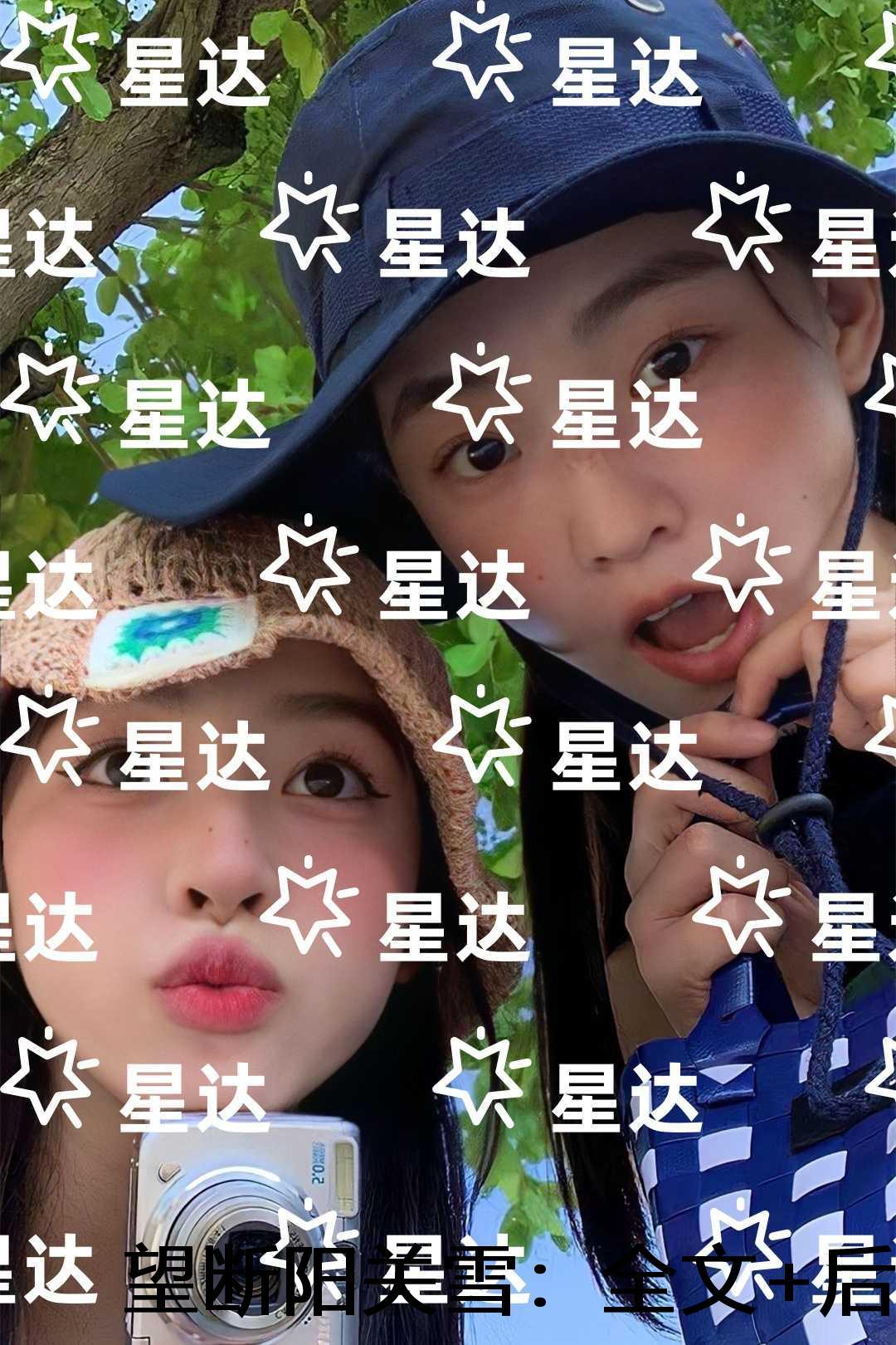 望断阳关雪:小说免费阅读