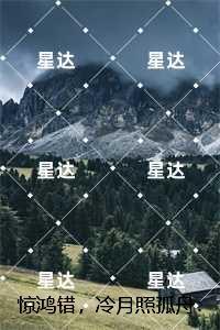 惊鸿错,冷月照孤舟:全书+后续