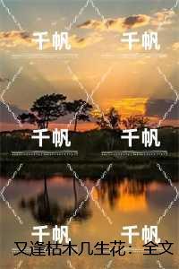 又逢枯木几生花:宋南音陆瑾深精品选集