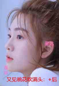 又见桃花吹满头：完结版