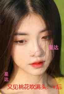 又见桃花吹满头：结局+番外+后续