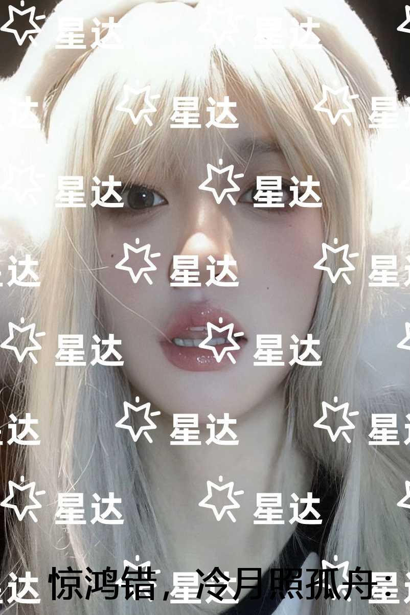 惊鸿错,冷月照孤舟:后续结局