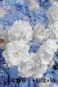 十年春寒:最后结局