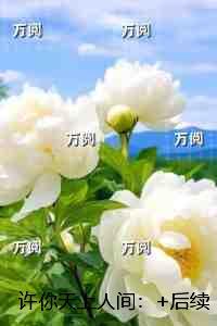 许你天上人间：独家完结