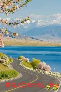 替身上位五年后，老公和兄弟当我面打赌：后续+无弹窗