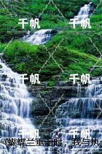 蝴蝶兰垂泪时,我与执念言和:苏屿沉林夏小说免费