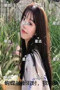 蝴蝶兰垂泪时,我与执念言和:虐文