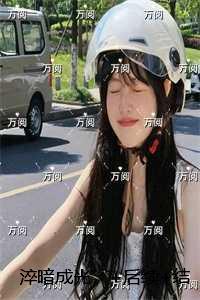 淬暗成光:免费结局+后续