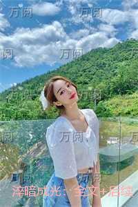 淬暗成光:高质量小说