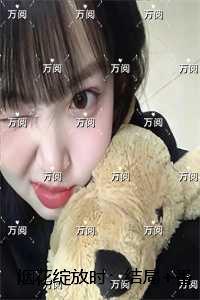 烟花绽放时:畅销小说推荐