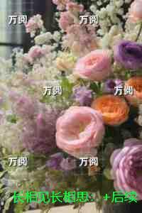 长相见长相思:精选小说推荐