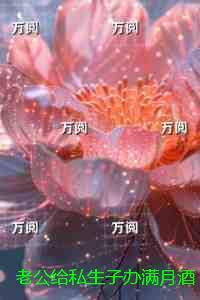 老公给私生子办满月酒那天,我闪婚了:无广告阅读