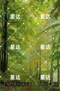 烟花绽放时:安夏傅庭序番外+无删减