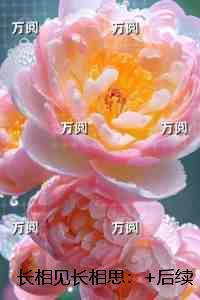 长相见长相思:番外笔趣阁