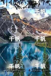 淬暗成光:沈云舒江鹤结局+番外新书