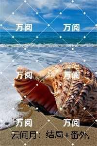 云间月:沈旎楚瀛最新