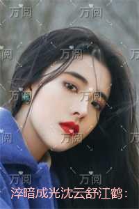 淬暗成光沈云舒江鹤:全文无弹窗