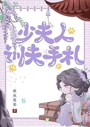 少夫人训夫手札