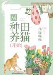 盖世医仙后续好看吗