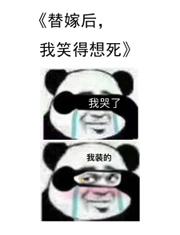 叶冲唐曼小说全文免费阅读