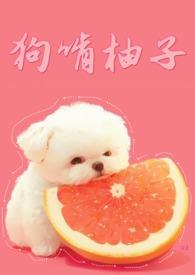 重生九零末:六岁玄学大师