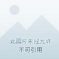 红尘四合(上下)