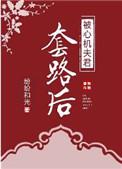 且试天下（上下）